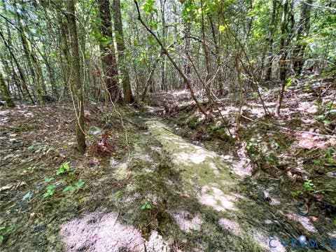 Tiny photo for 25.5 Acres Ladysmith Road, Ruther Glen, VA 22546 (MLS # 2620997)