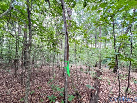 Tiny photo for 25.5 Acres Ladysmith Road, Ruther Glen, VA 22546 (MLS # 2620997)