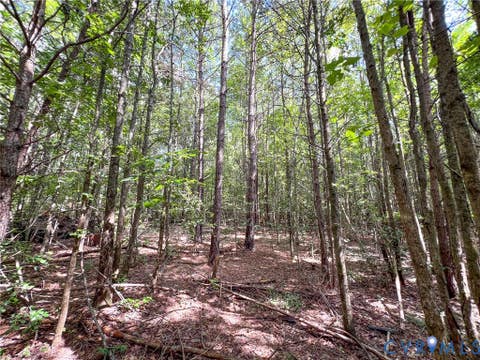 Tiny photo for 25.5 Acres Ladysmith Road, Ruther Glen, VA 22546 (MLS # 2620997)
