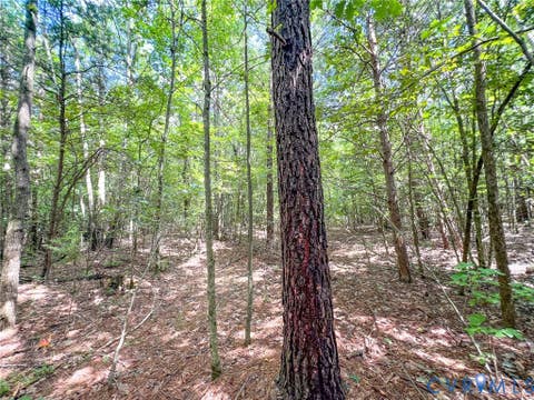 Tiny photo for 25.5 Acres Ladysmith Road, Ruther Glen, VA 22546 (MLS # 2620997)