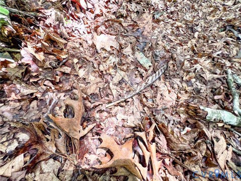 Tiny photo for 25.5 Acres Ladysmith Road, Ruther Glen, VA 22546 (MLS # 2620997)