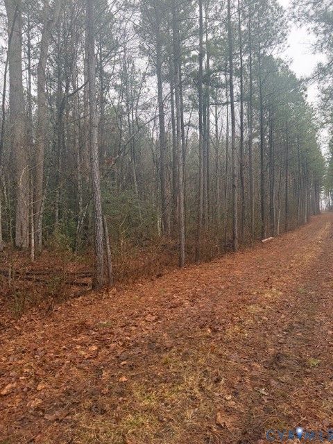 Tiny photo for 000 Cherry Hill Rd, Mc Kenney, VA 23872 (MLS # 2604043)