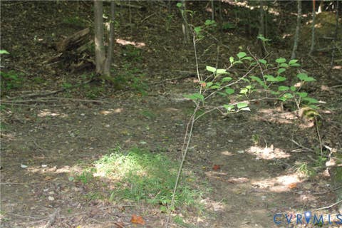 Tiny photo for 6221 Sturgeon Point Road, Providence Forge, VA 23140 (MLS # 2621594)