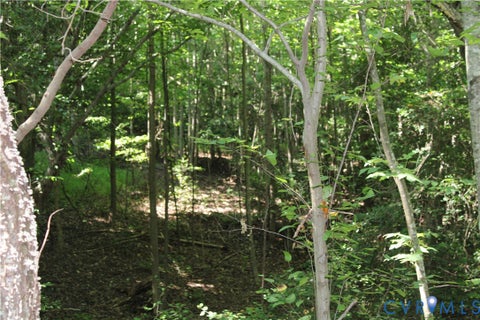 Tiny photo for 6221 Sturgeon Point Road, Providence Forge, VA 23140 (MLS # 2621594)