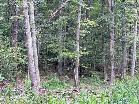 Tiny photo for 2852 Nelsons Bridge Road, King William, VA 23069 (MLS # 2528737)