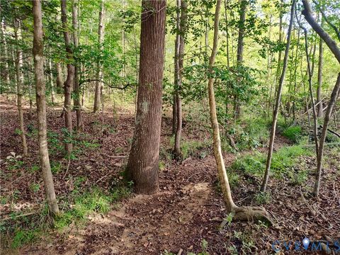 Tiny photo for 0 Governor Harrison Parkway, Freeman, VA 23856 (MLS # 2527261)
