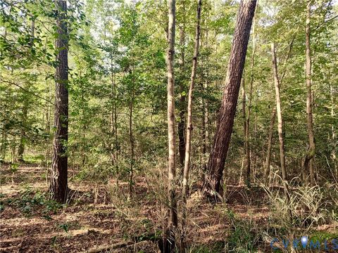 Tiny photo for 0 Governor Harrison Parkway, Freeman, VA 23856 (MLS # 2527261)