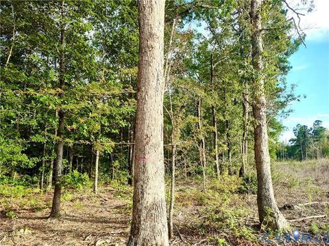 Tiny photo for 0 Governor Harrison Parkway, Freeman, VA 23856 (MLS # 2527261)