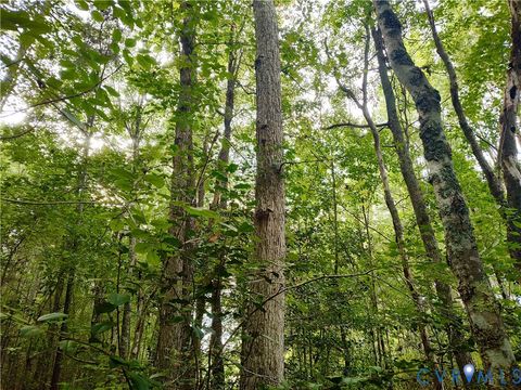 Tiny photo for 0 Governor Harrison Parkway, Freeman, VA 23856 (MLS # 2527261)