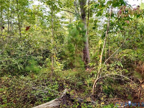 Tiny photo for 0 Governor Harrison Parkway, Freeman, VA 23856 (MLS # 2527261)