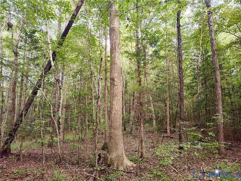 Tiny photo for 0 Governor Harrison Parkway, Freeman, VA 23856 (MLS # 2527261)