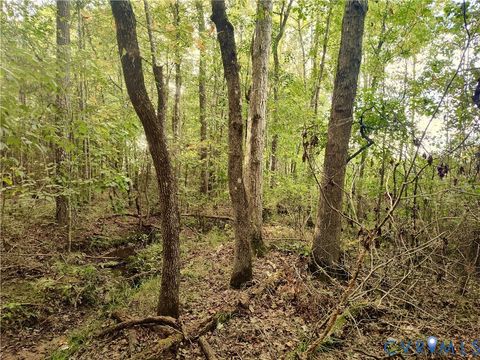 Tiny photo for 0 Governor Harrison Parkway, Freeman, VA 23856 (MLS # 2527261)