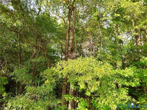 Tiny photo for 0 Governor Harrison Parkway, Freeman, VA 23856 (MLS # 2527261)