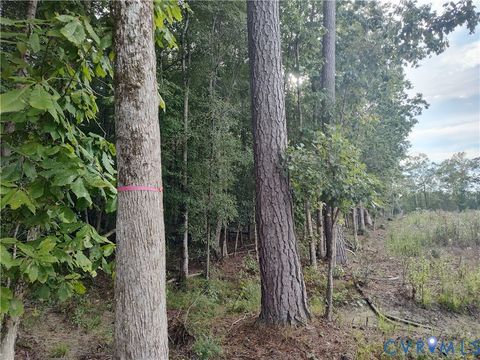 Tiny photo for 0 Governor Harrison Parkway, Freeman, VA 23856 (MLS # 2527261)