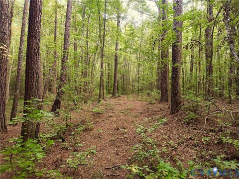 Tiny photo for 0 Governor Harrison Parkway, Freeman, VA 23856 (MLS # 2527261)