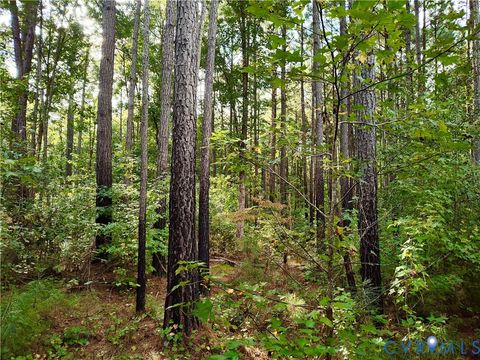 Tiny photo for 0 Governor Harrison Parkway, Freeman, VA 23856 (MLS # 2527261)