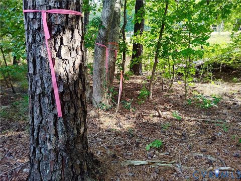 Tiny photo for 0 Governor Harrison Parkway, Freeman, VA 23856 (MLS # 2527261)
