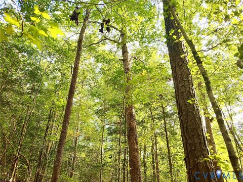 Tiny photo for 0 Governor Harrison Parkway, Freeman, VA 23856 (MLS # 2527261)