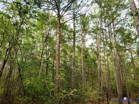 Tiny photo for 0 Governor Harrison Parkway, Freeman, VA 23856 (MLS # 2527261)