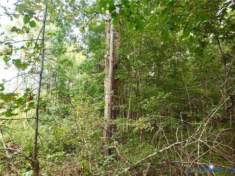 Tiny photo for 0 Governor Harrison Parkway, Freeman, VA 23856 (MLS # 2527261)