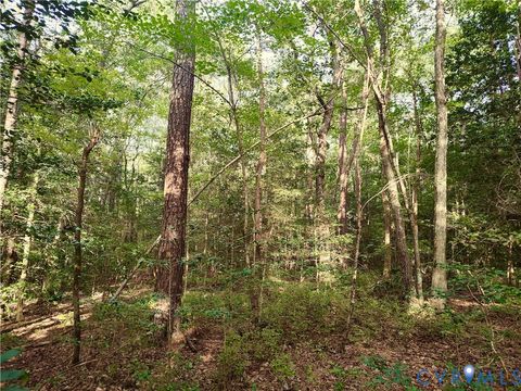 Tiny photo for 0 Governor Harrison Parkway, Freeman, VA 23856 (MLS # 2527261)