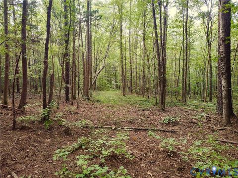 Tiny photo for 0 Governor Harrison Parkway, Freeman, VA 23856 (MLS # 2527261)