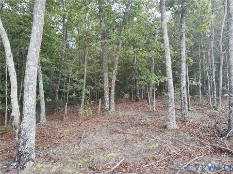 Tiny photo for 0 Governor Harrison Parkway, Freeman, VA 23856 (MLS # 2527261)