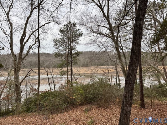 BEECH TREE LN, TAPPAHANNOCK, VA 22560 - Image cd2b89f7b9f3bfeb67b33d5e62602e3b/2974106695