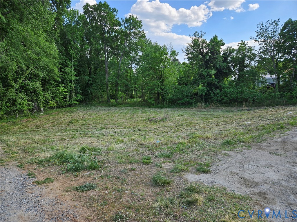 .53 Acres Goodes Bridge Road