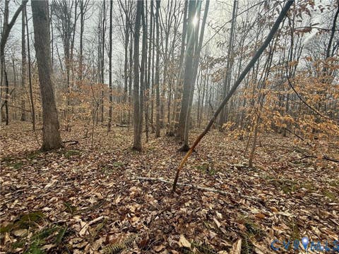 Tiny photo for 62 Willis Bluff Lane, Cumberland, VA 23040 (MLS # 2623131)