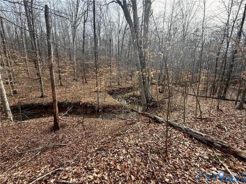 Tiny photo for 62 Willis Bluff Lane, Cumberland, VA 23040 (MLS # 2623131)