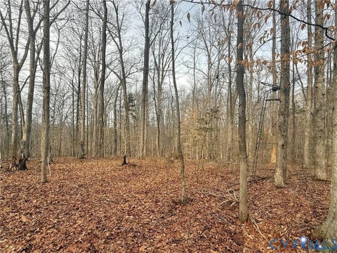 Tiny photo for 62 Willis Bluff Lane, Cumberland, VA 23040 (MLS # 2623131)