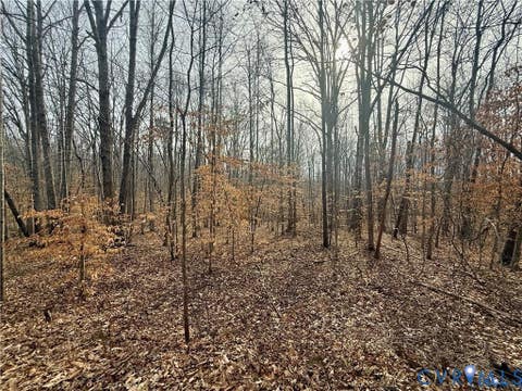 Tiny photo for 62 Willis Bluff Lane, Cumberland, VA 23040 (MLS # 2623131)