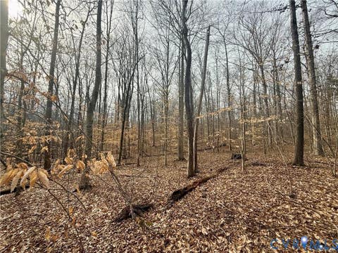 Tiny photo for 62 Willis Bluff Lane, Cumberland, VA 23040 (MLS # 2623131)