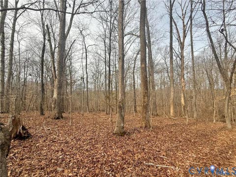 Tiny photo for 62 Willis Bluff Lane, Cumberland, VA 23040 (MLS # 2623131)