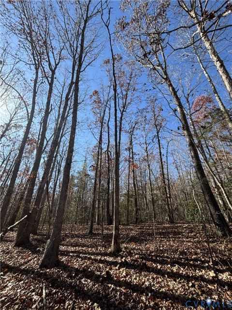 Tiny photo for Lot 4 Diggstown Rd, Bumpass, VA 23024 (MLS # 2531466)