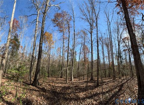 Photo of Lot 4 Diggstown Rd, Bumpass, VA 23024 (MLS # 2531466)