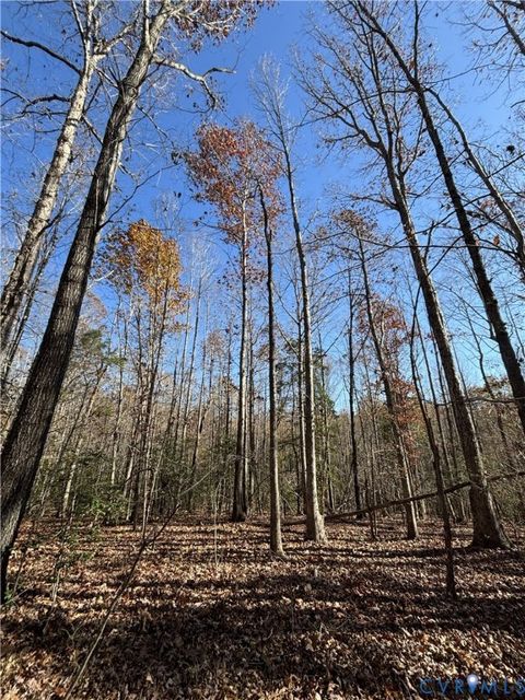 Tiny photo for Lot 4 Diggstown Rd, Bumpass, VA 23024 (MLS # 2531466)