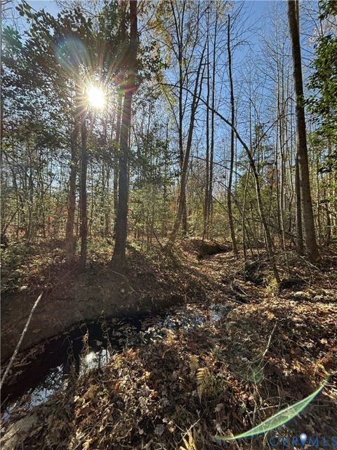 Tiny photo for Lot 4 Diggstown Rd, Bumpass, VA 23024 (MLS # 2531466)