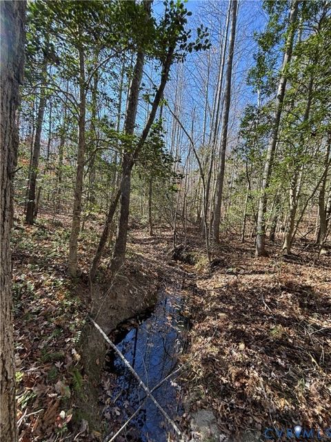 Tiny photo for Lot 4 Diggstown Rd, Bumpass, VA 23024 (MLS # 2531466)