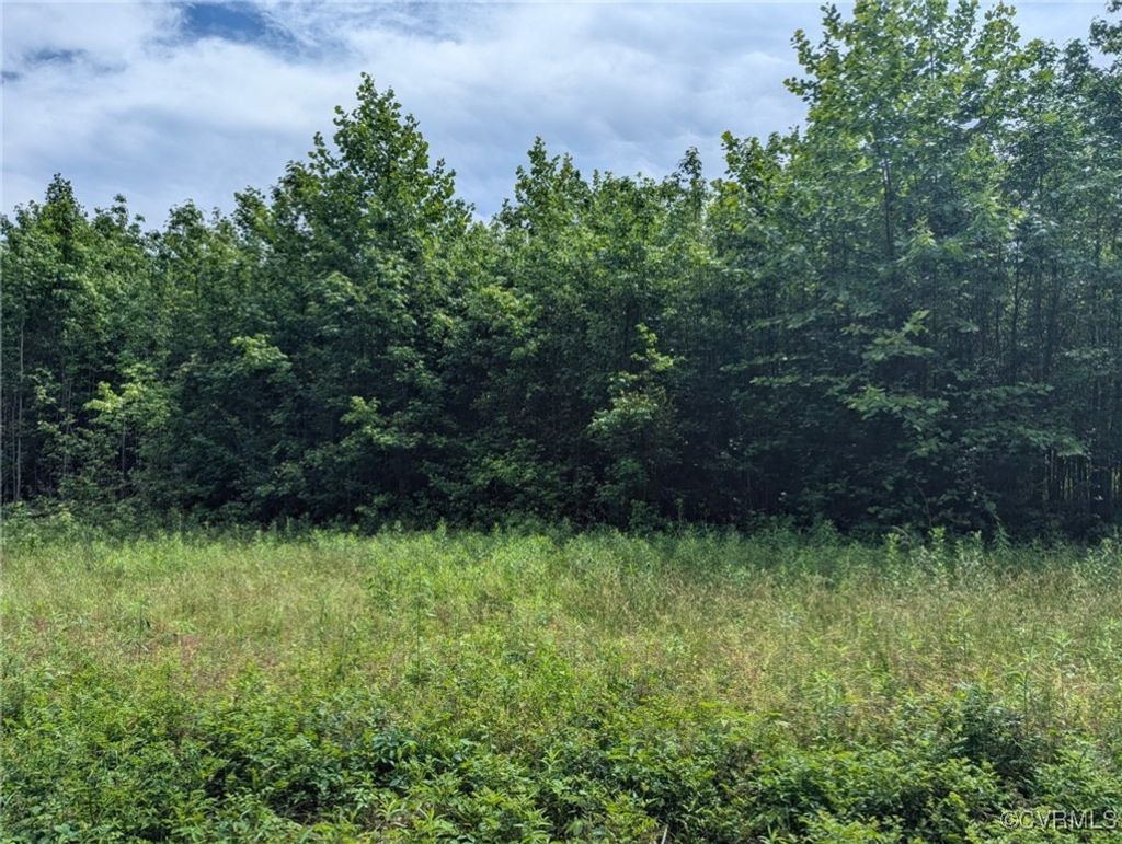 Photo for TBD James River Drive, Prince George, VA 23875 (MLS # 2513898)