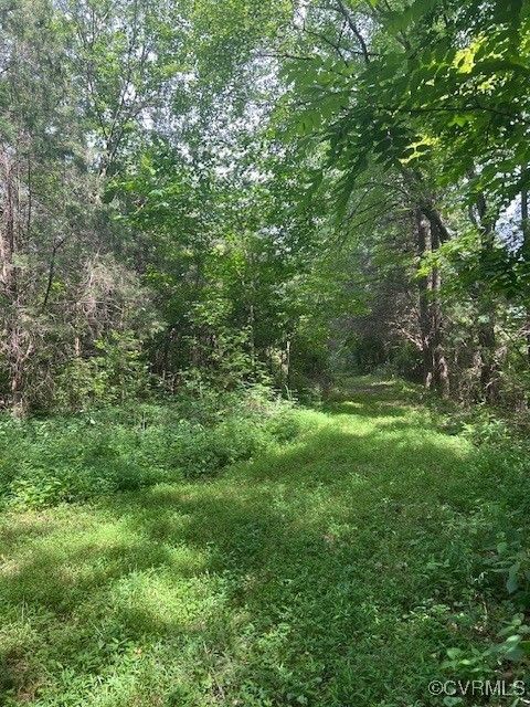 Tiny photo for Beaverdam, VA 23015 (MLS # 2517870)