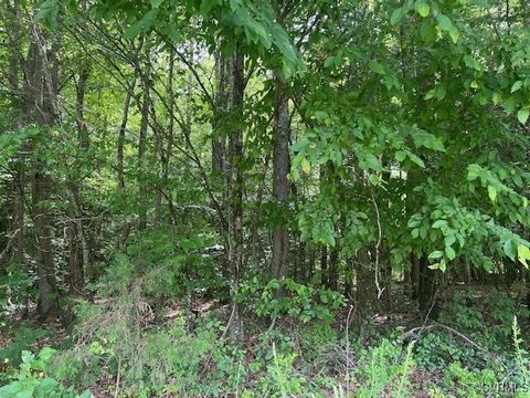 Tiny photo for Beaverdam, VA 23015 (MLS # 2517870)