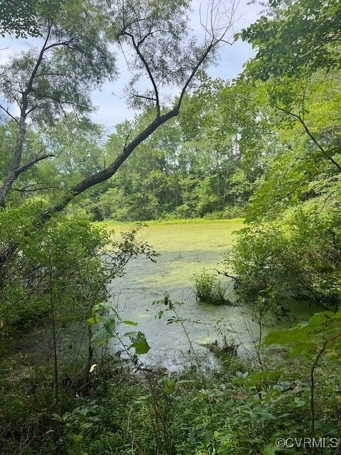 Tiny photo for Beaverdam, VA 23015 (MLS # 2517870)