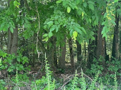 Tiny photo for Beaverdam, VA 23015 (MLS # 2517870)