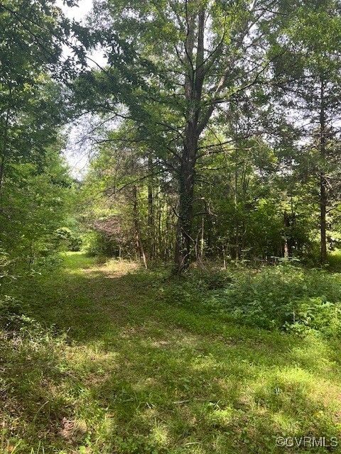 Tiny photo for Beaverdam, VA 23015 (MLS # 2517870)