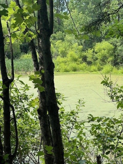 Tiny photo for Beaverdam, VA 23015 (MLS # 2517870)