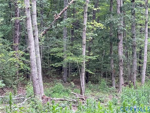 Photo for 3850 Three Chopt Road