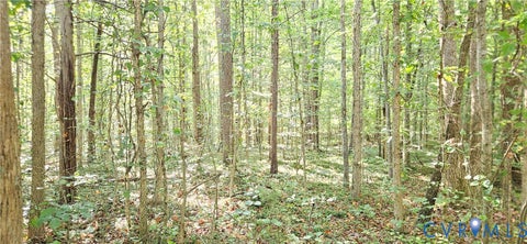 Tiny photo for 9-A-61 Springfield Road, Meherrin, VA 23954 (MLS # 2624343)