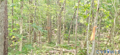 Tiny photo for 9-A-61 Springfield Road, Meherrin, VA 23954 (MLS # 2624343)